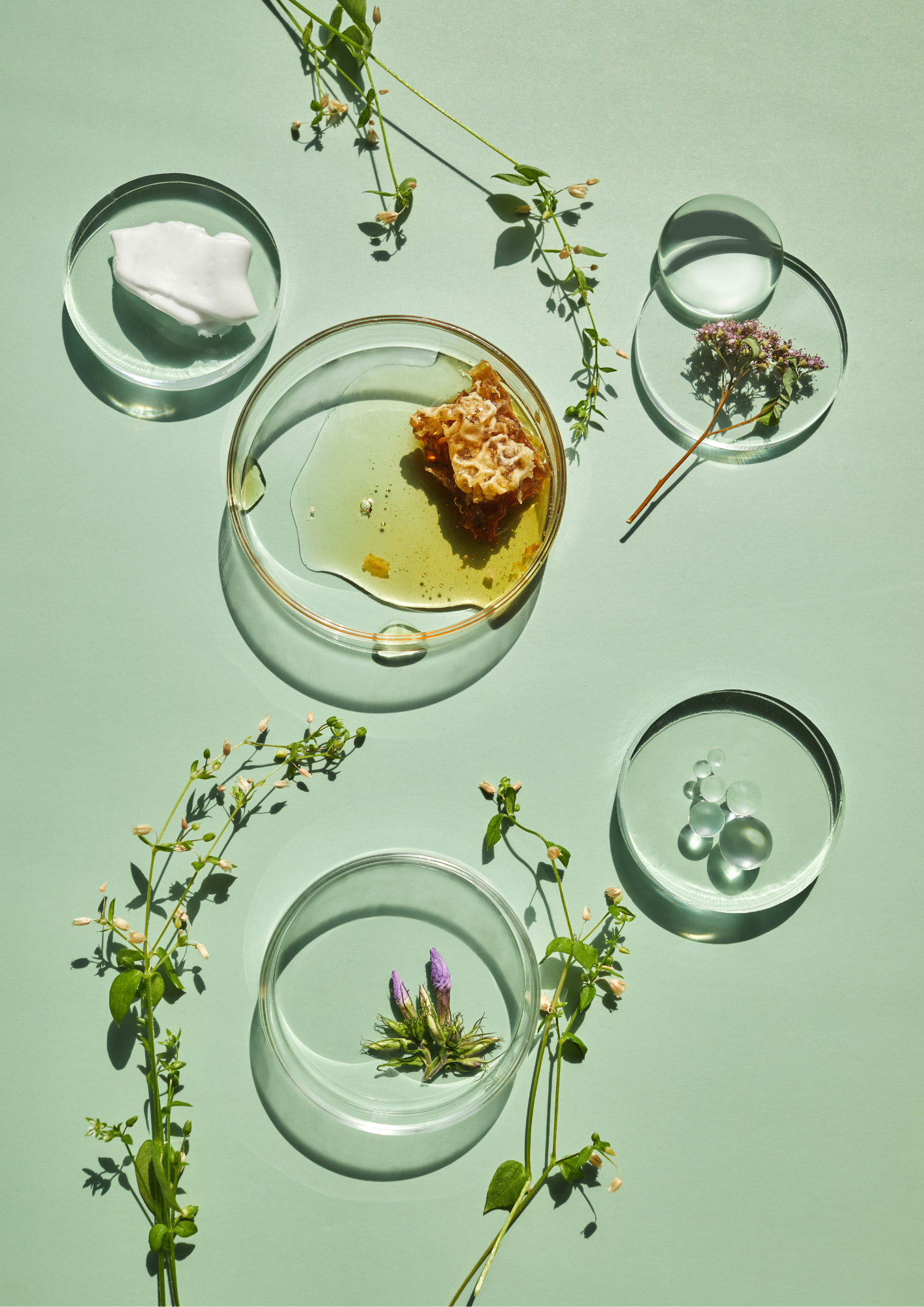 ingrédients cosmétiques naturels