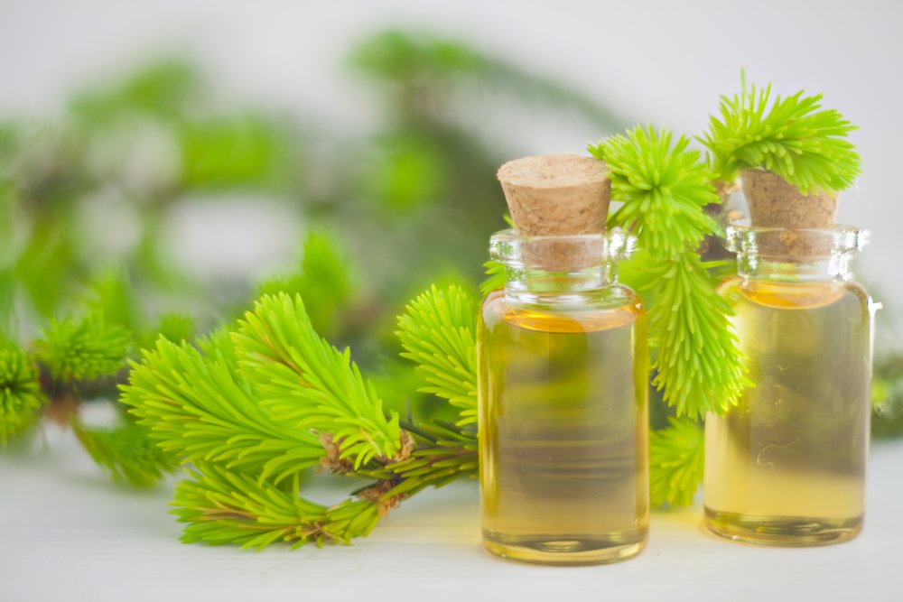 bienfaits de l’huile essentielle de tea tree